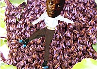 Do NOT try this at home