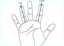 An image from the Sex ID survey