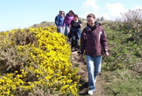 Meinir Gwilym yn arwain taith gerdded Amlwch