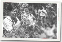 Juliet Hodgkiss, garddwraig hanesyddol cadwrol Amgueddfa Werin Cymru a phrif geidwad yr ardd Eidalaidd