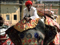 elefante em cerimônia na Índia