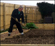 Gardener in Garscube Allotments