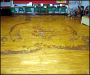 A giant Pudsey Bear made out of pennies