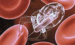 Artist's impression of a 'Nanobot' on a red blood cell