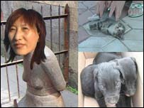 Mandado de prisão on-line