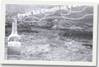 Llun o'r botel ar eBay