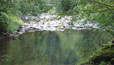 Deep section of river