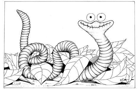 Illustration from This is Our World