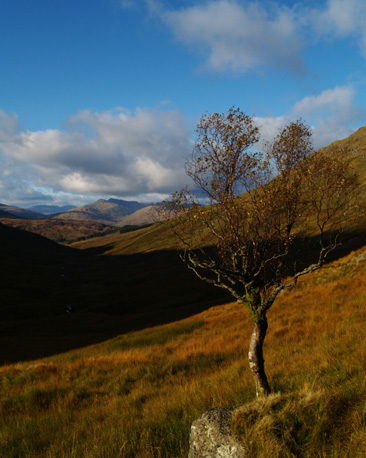 The view towards the Bridge of Orchy hills, below An Caisteal.