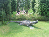 Copper crocodile by Emily Stone