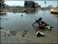 सूनामी का असर