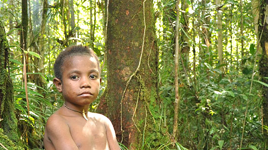 Dua yn pwyso ar goeden yn y jyngl © Rachael Kinley