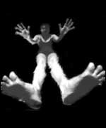 Fierce festival image 