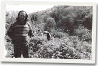 Yr ardd gudd yng Nghwmplyf