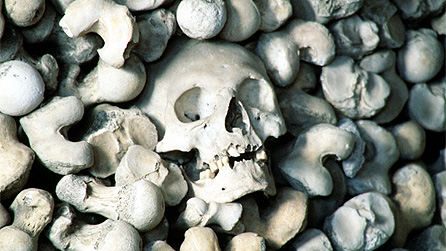 Esgyrn yn eglwys Hythe yn Lloegr