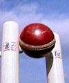 Cricket ball