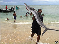 Barcos podem exaurir estoque pesqueiro na área do tsunami