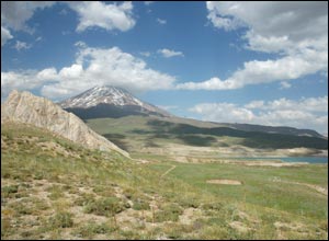 عکس از محسن سروش