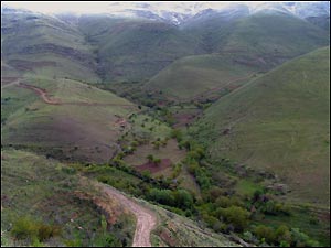 کردستان