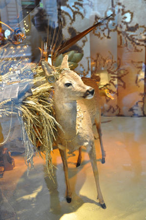 Fawn