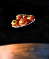 Tomatoes grown from space seeds