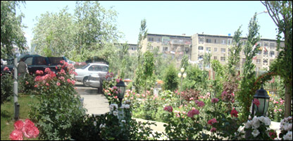 سرسبزی رهايشگاه ها و مراکز تجاری