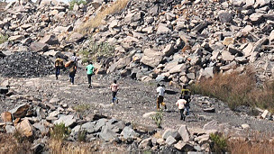 कोयला खदान में चोरी कर भागते लोग