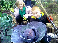 Enjoy gardening?