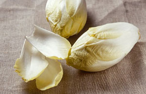 Chicory