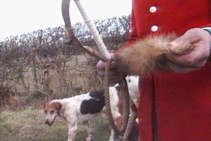 Anne speaks up for blood-sports