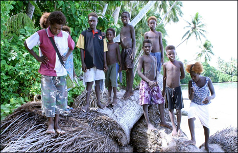 Islanders with trees destroyed by storms