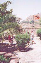 Yng ngwres y dydd. . .