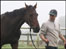 Race Horse, Arthurian