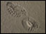 Footprint in the snow
