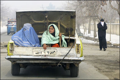 Foto: Harold Mundt/TPOTY 2009