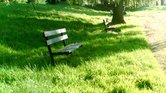 benches