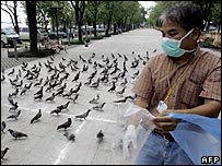agente sanitário com pássaros na Tailândia