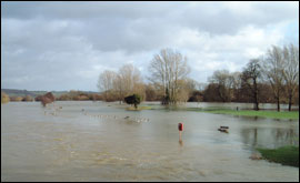 Pangbourne Meadows