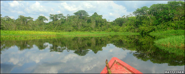 River_in_Yasuni_park