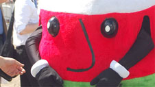 Mr Urdd