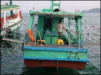 Tàu đánh cá của VN 