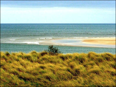 Alnmouth. Photo: Terry Ferdinand
