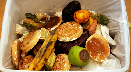 Waste food in a bin