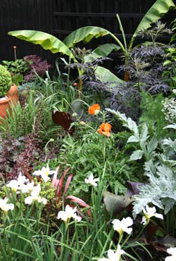 Kevin Smith's 'low-maintenance' garden
