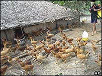 मुर्गियाँ