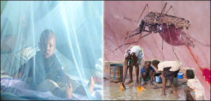 حفاظت از ملاريا