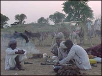 राजस्थान में गधों का मेला