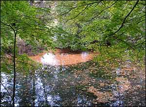 عکس از فرزانه عبدالاهی