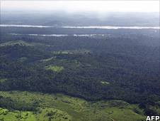 Amazon rainforest