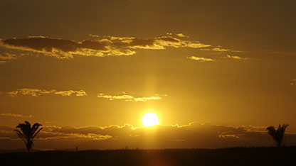 Dusk on the Amazon